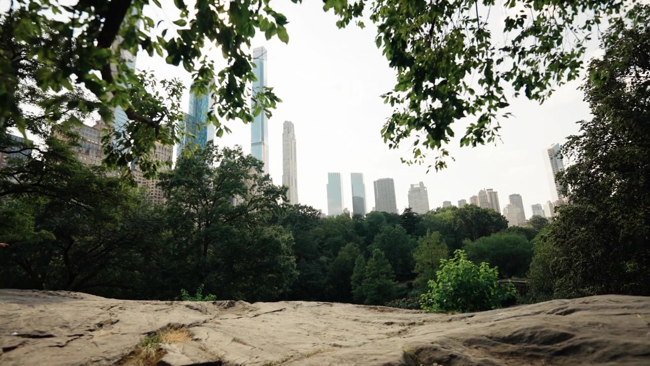 Vista del horizonte de Nueva York desde Central Park