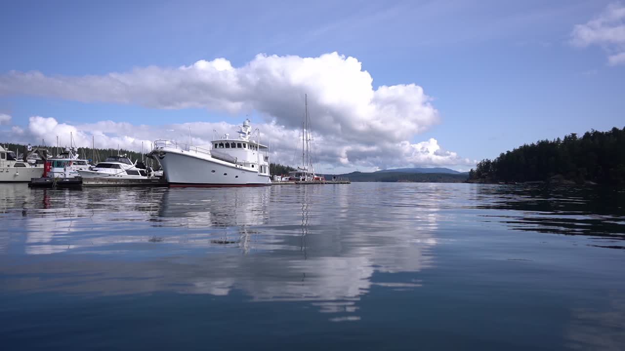 보트 가 많은 숲 에  ⁇ 힌 마리나