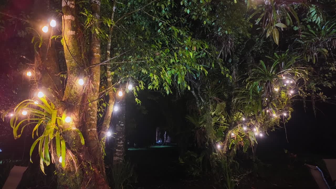 코스타리카의 비가 오는 밤에 이국적이고 울창한 열대 정원의 나무에서 매력적인 야외 환경 조명이 반인다.