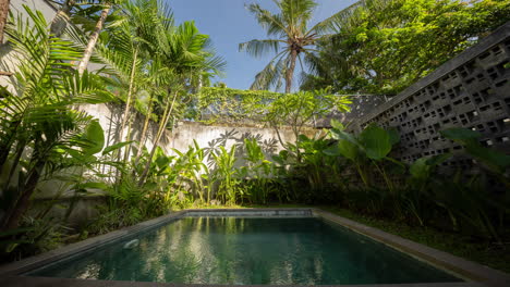 a small luxury swimming pool in a tropical garden