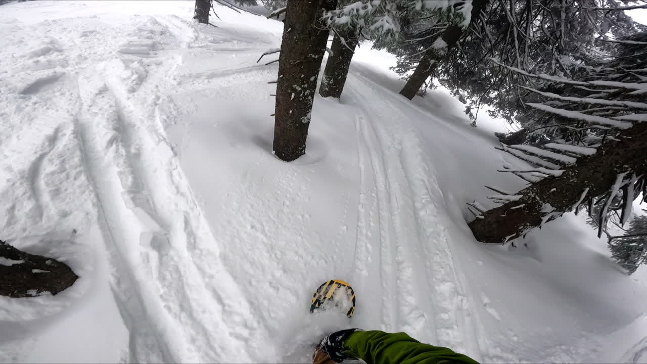 POV snowboard ride in the beautiful winter forest. Sportsman rides slowly swaying among the trees.