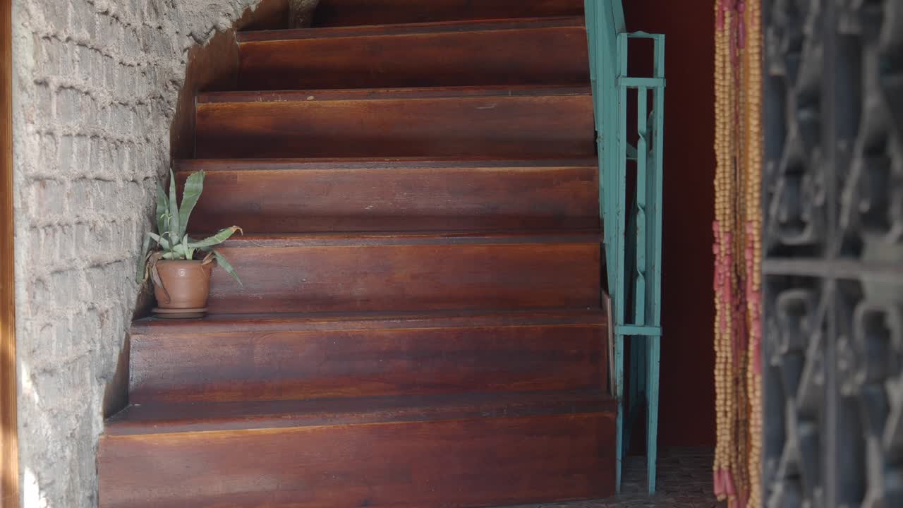 escalera de madera rústica con una planta y una puerta