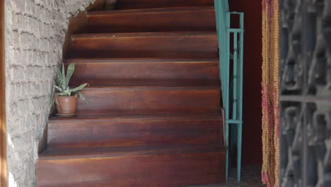 rustic wooden staircase with a plant and a doorway