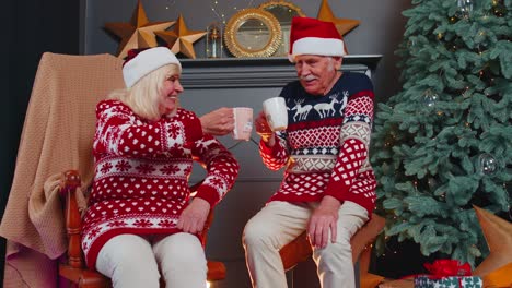 Senior-grandmother,-grandmother-enjoying-pleasant-Christmas-conversation,-drinking-hot-tea-at-home
