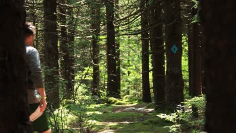 Un-Hombre-Y-Una-Mujer-Caminan-Por-El-Sendero-Huckleberry,-Ubicado-Dentro-Del-área-Recreativa-Nacional-Spruce-Knob-seneca-Rocks-En-Virginia-Occidental