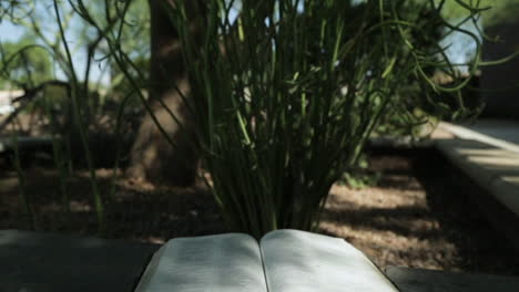 Página-Del-Libro-Sagrado-Girando-En-El-Viento-En-La-Naturaleza