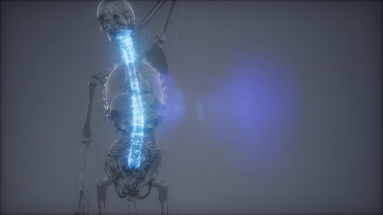 dolor de espalda en los huesos de la espalda