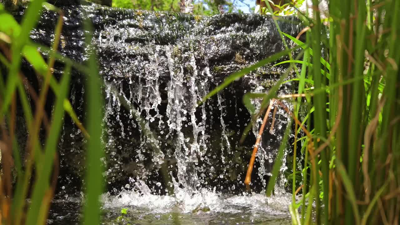 정원에서 작은 폭포