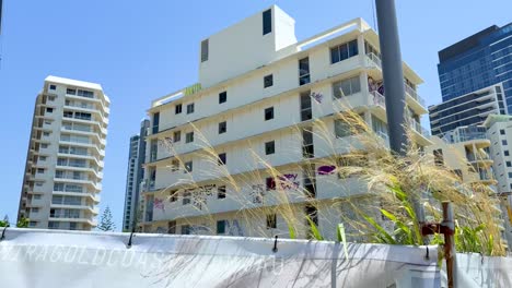 buildings and plants under a clear blue sky