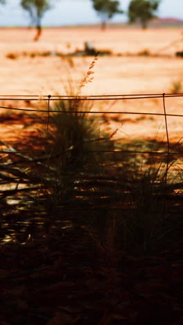 a close-up of a wire fence in a dry, brown field with trees in the background