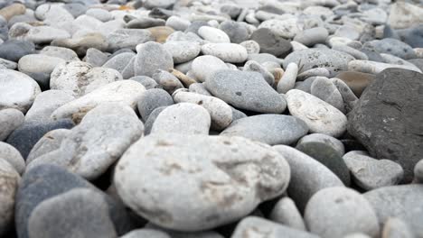 round pebble beach grey texture stones closeup shallow focus dolly slow right