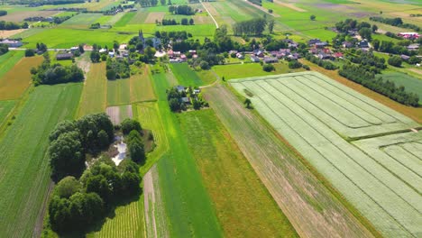 abstract geometric shapes of agricultural parcels of different crops in yellow and green colors