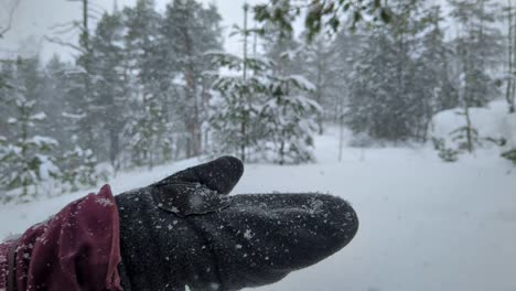 hand catching snowflakes in winter forest, snowing in nature, close up