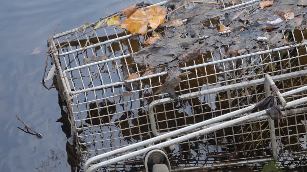 Old rusty shopping trolley laying in a lake with leaves during the day, medium shot