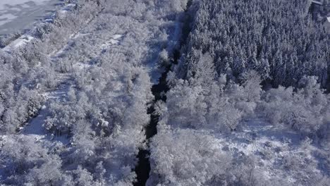 4k aerial video view of alpine snowy valley forest and frozen river in peak of winter overflight - drone collection stock video