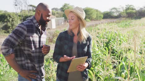 Video-of-happy-diverse-female-and-male-with-tablet-in-field-on-sunny-day