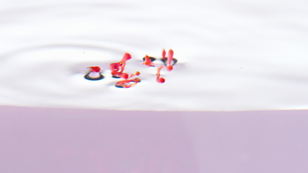 flor roja flotando en el agua