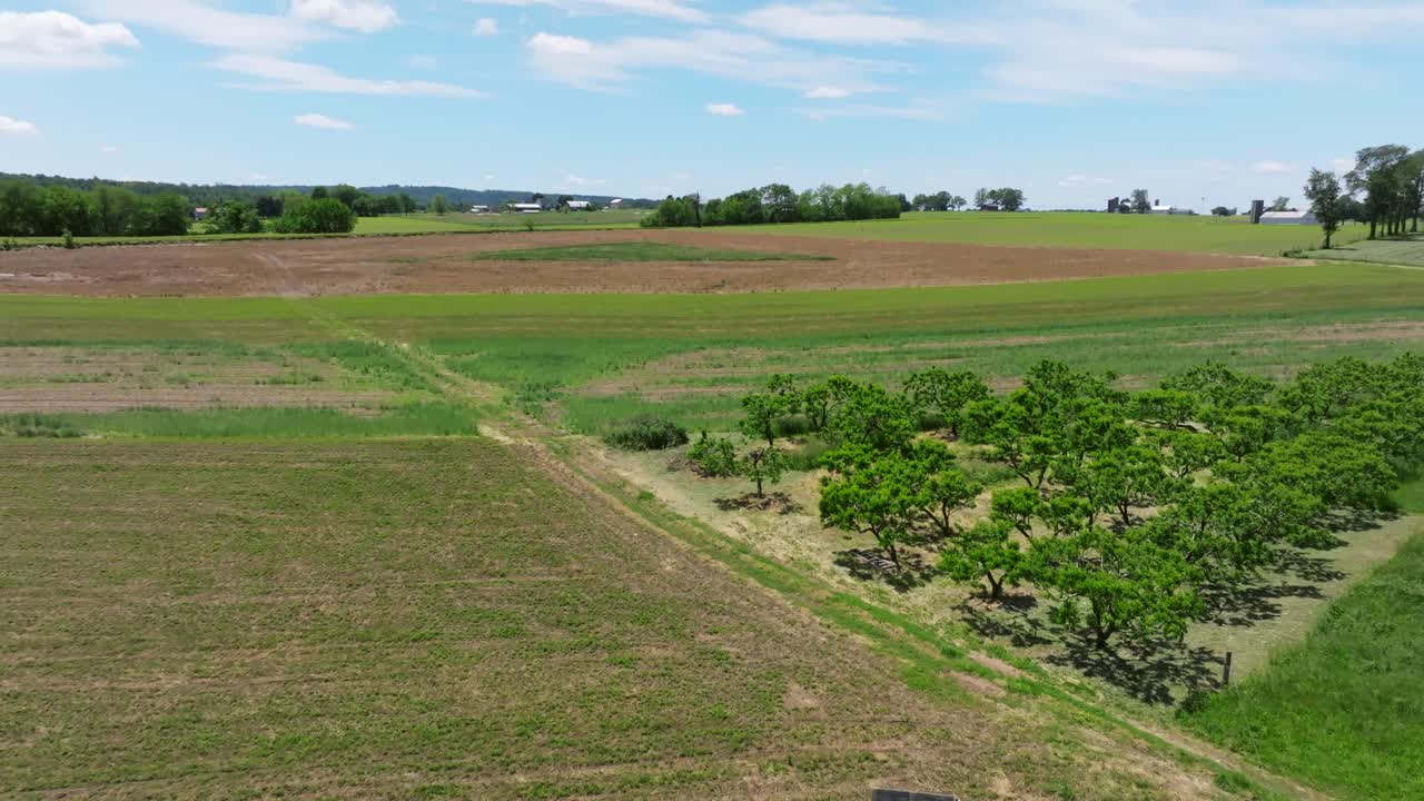 Scenic aerial view of lush green farmland, orchard and fields under a clear blue sky on a sunny day captivating scenes smooth motion dynamic movement stunning visuals