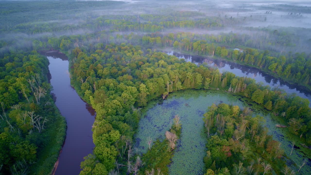 drone shot flying over numerous river bends and little islands of the foggy Manistee river in northern michigan at sunrise