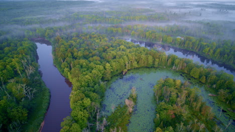 drone shot flying over numerous river bends and little islands of the foggy manistee river in northern michigan at sunrise