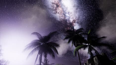 la galaxia de la vía láctea sobre la selva tropical