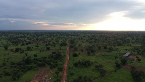 sunset-within-green-natural-vegetation_2