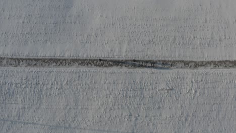 accompanying three people walking down a snowy road