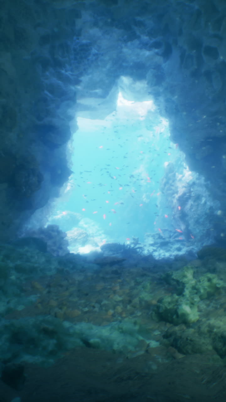 una mirada dentro de una cueva submarina