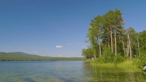 scenic lakeside forest view