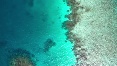 aerial vertical view of fasdhoo lagoon reef edge, maldives, indian ocean