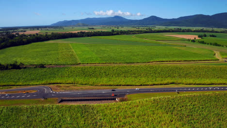 vehículos que conducen a lo largo de los campos rurales con cultivos verdes frescos en verano cerca de cairns, qld, australia