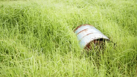 viejo barril oxidado rodeado de hierba verde larga que sopla en el viento