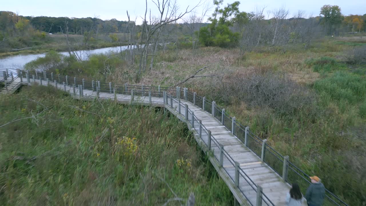 Tourists Walk On Boardwalk Through Wetlands Marsh Aerial Video