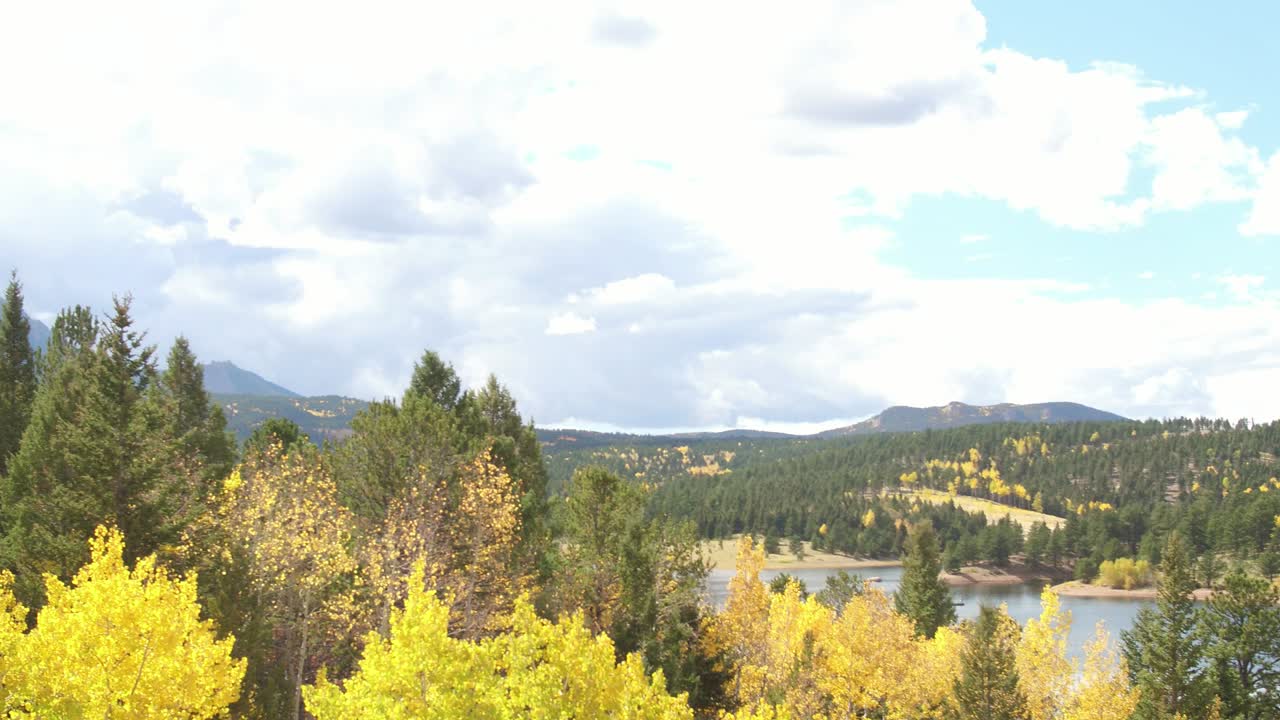 콜로라도에서 다채로운 나무의 조감도