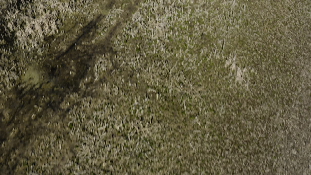 utah lago powell slough humedales en orem, utah - paso elevado aéreo