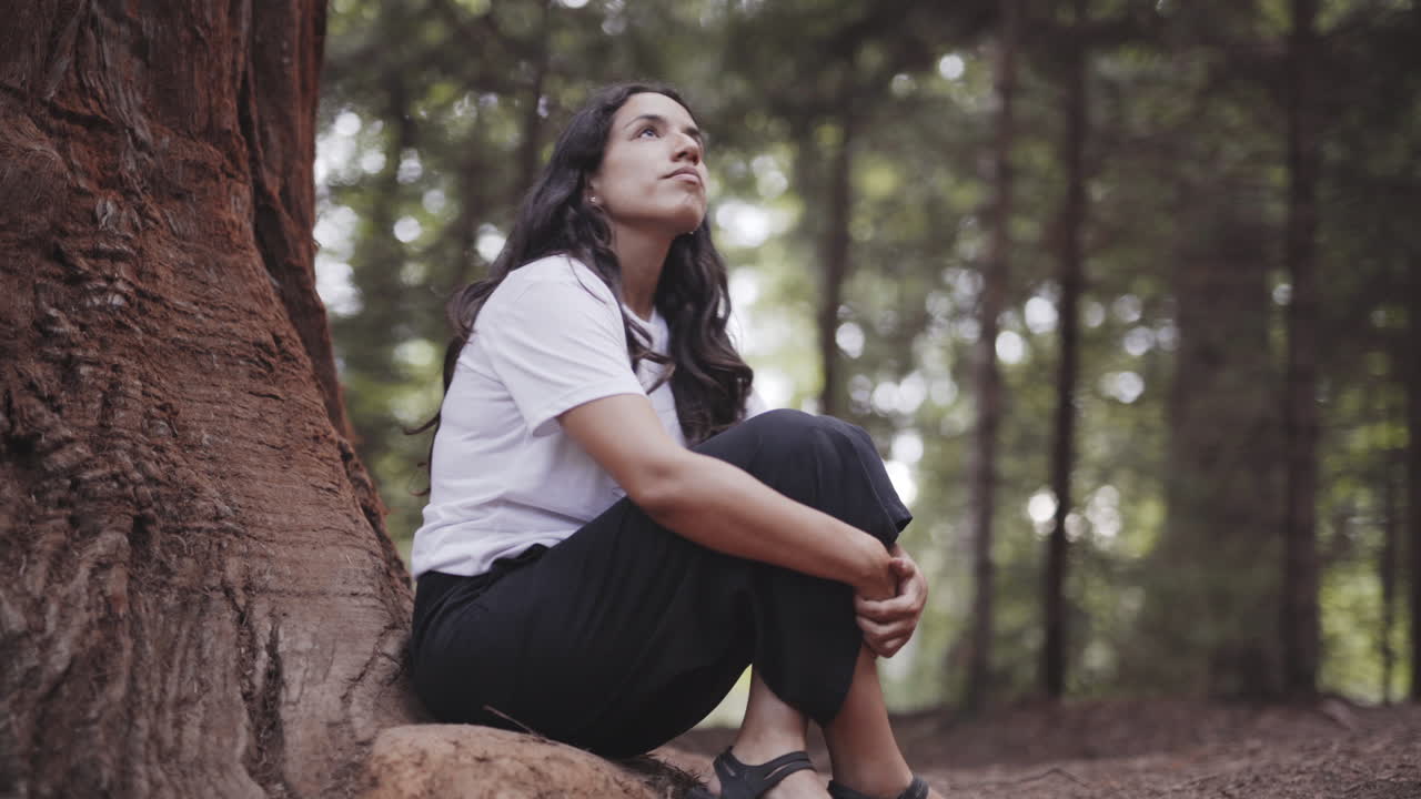 espiritual mujer española sentada en paz en el bosque de sequoia california