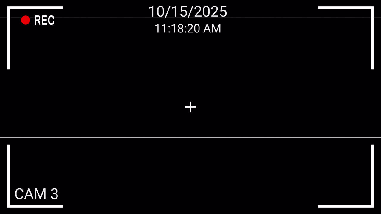 Digital Camera Recording Viewfinder with Glitch Effect
