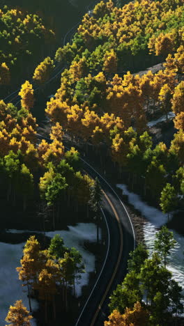 aerial view of winding road through autumn forest