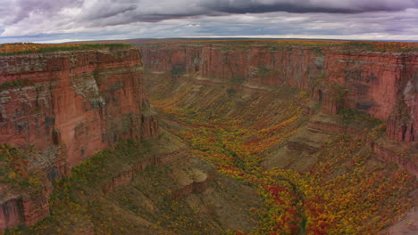 vast canyon landscape with vibrant autumn foliage