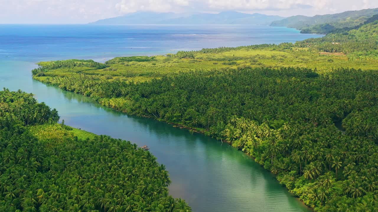 plantación de cocoteros con río con vistas al mar azul en leyte, filipinas