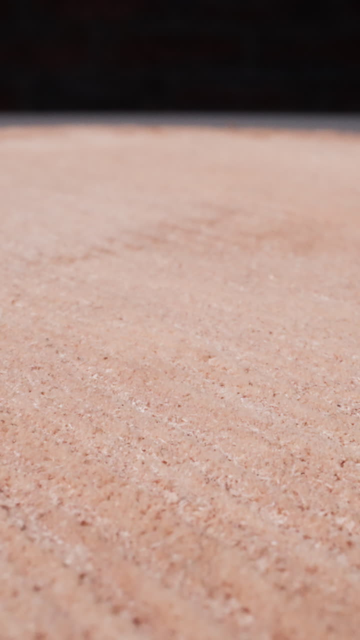Young cut birch tree with bark on black background extreme close view. Wooden detail of light natural timber. Carpentry material processing