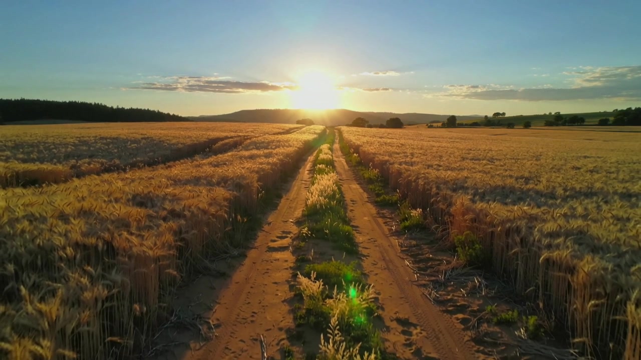 Drone che si alza in volo e guida la telecamera in avanti lungo una strada sterrata con solchi di pneumatici, riprendendo il tramonto.