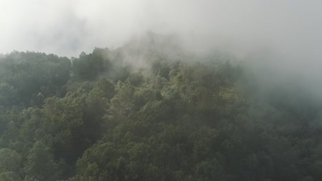 vista aérea de drones de un bosque nublado en la parte superior del valle durante el día de niebla