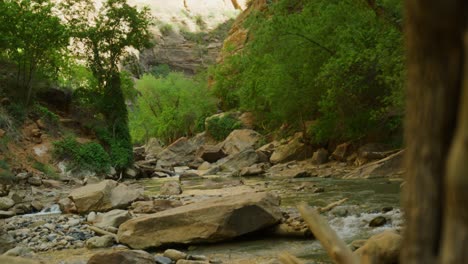 Reveal-shot-coming-out-of-a-tree-trunk-to-reveal-large-boulders-sitting-on-a-river-bed-with-a-small-stream-running-through