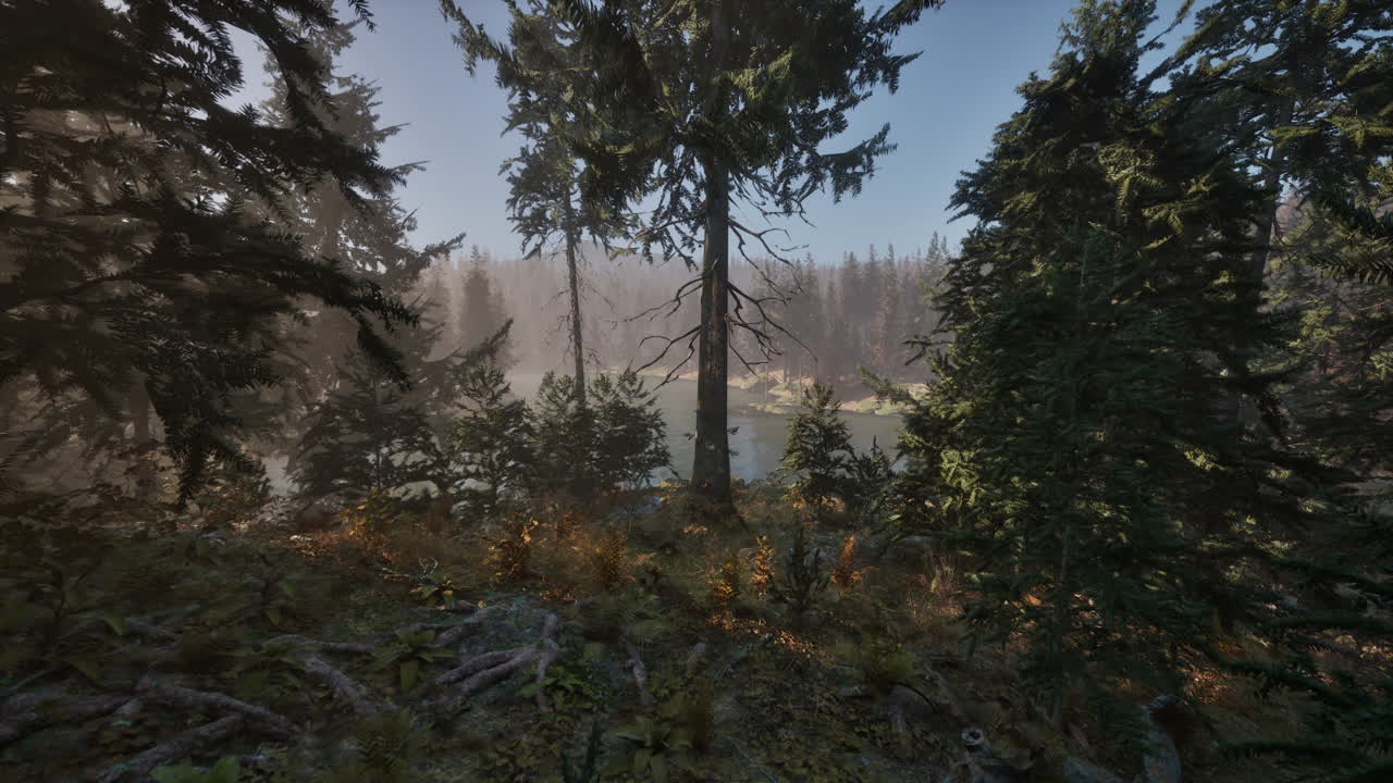 hojas de otoño caídas y agujas en el bosque de pinos de otoño