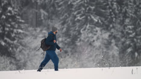 person walking in the forest