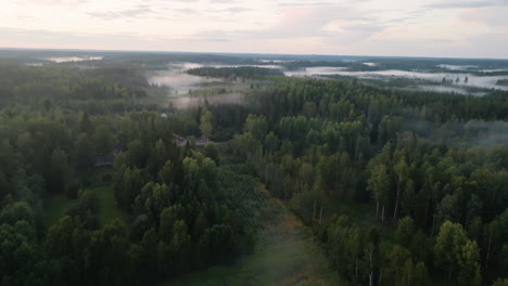 drone shot rising over misty farmlands and woods, fall evening in the nordics