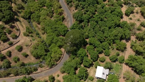 DRONE-SHOT-OF-A-TRUCK-AND-AVOCADO-FIELDS-IN-MICHOACAN-AT-NOON