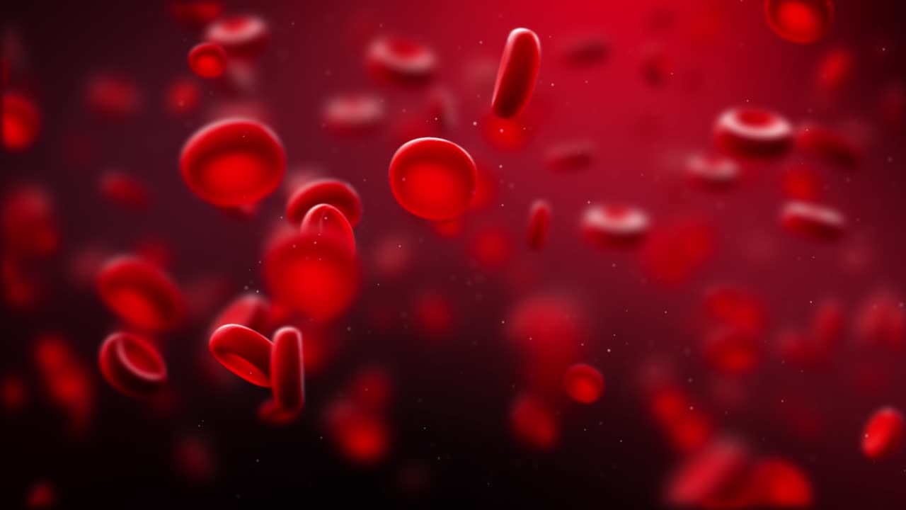 3D Animation of Red Blood Cells Flowing in Bloodstream