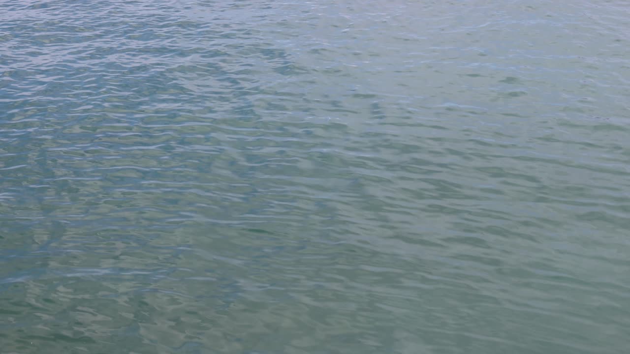 크로아티아, 유럽 의 물 표면 에 있는 파도